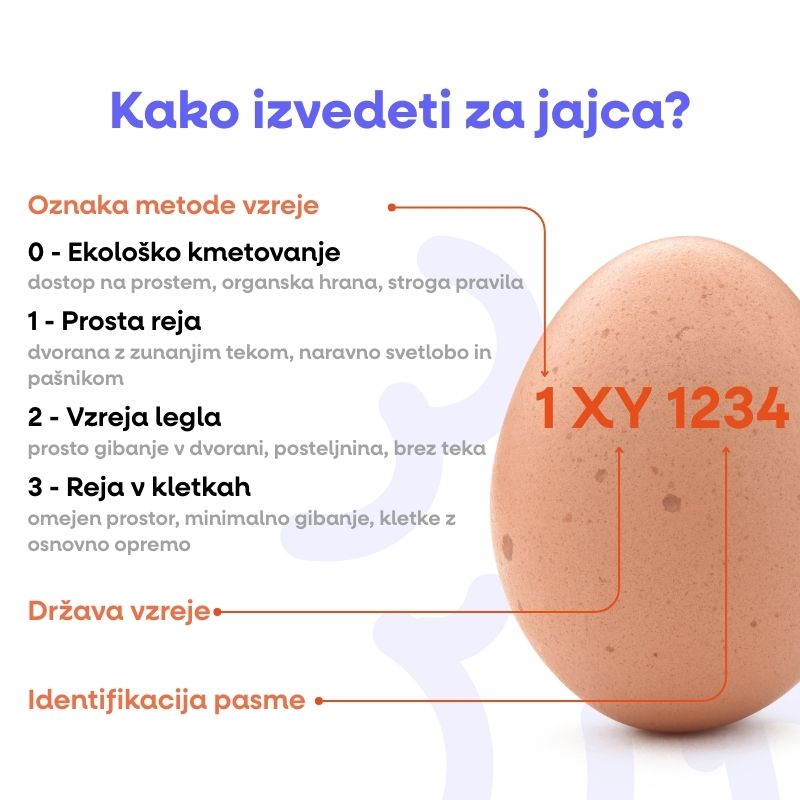 (Slovinština) (69)